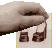 petarifeet