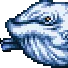 Whale