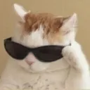 CoolCat CoolCat