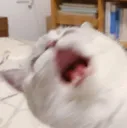 Ahh