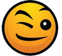 NG_wink