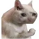 Memecat memecat Discord Emoji