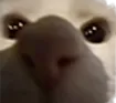 HIIIIIIIIIIIIIIIIIIIIII