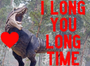 longyoulongtime