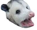 ohno