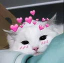 kittyluv2