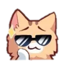 Catswag CatSwag Discord Emoji
