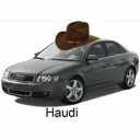 haudi