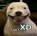 XD