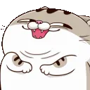 hehecat