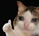 memes_sad_like Discord emoji