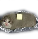 buttercat