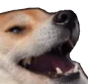 IM_kek