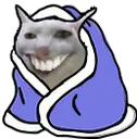 IM_comfywesh