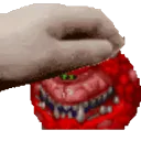 petpetcaco petpetcaco