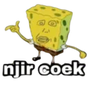 njircoek