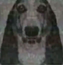 eduardo Discord emoji