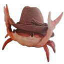 caranguejo_de_minas Discord emoji