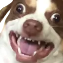 bubz2