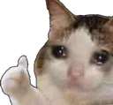 sadok