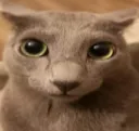 the