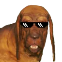 dogwithit dogwithit