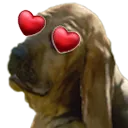 puppylove puppylove