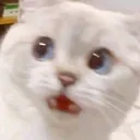 Whaoh1