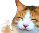 catThumb