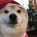 SmileyDoge