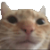 826525957149687869.png?v=1