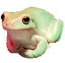 politefroge