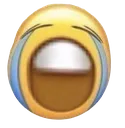 sOb sOb