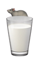 WH_Ratmilk Discord emoji