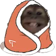 Cozeky