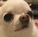 EN_snottybbub Discord emoji