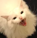 anger