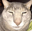 hh Discord emoji