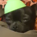 FuC
