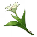 cecilia cecilia