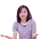 haseulshrug