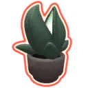 Interstellar_Desk_Plant