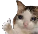 thumbsad