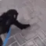 BLmonkehug