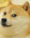 Doge doge Discord Emoji