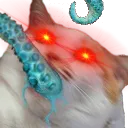 tentywoke
