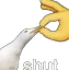 shutupseagull