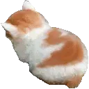 kittyangry