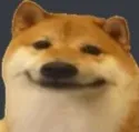 doge Discord Emoji