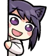 paxitiPeek